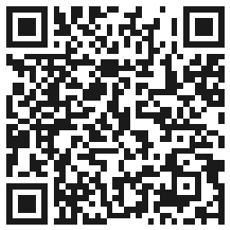 Kod QR - Excellent PRO Pilnik zebra prosty ECO NF33 100/180